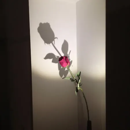 Апартаменты 23 Триест